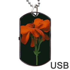 Red Geranium Over Black Background Dog Tag Usb Flash (one Side)