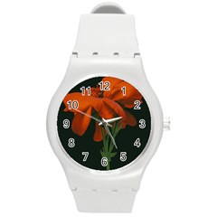 Red Geranium Over Black Background Round Plastic Sport Watch (m) by dflcprintsclothing