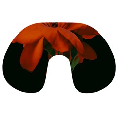 Red Geranium Over Black Background Travel Neck Pillow by dflcprintsclothing