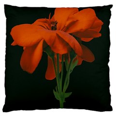 Red Geranium Over Black Background Standard Flano Cushion Case (two Sides) by dflcprintsclothing