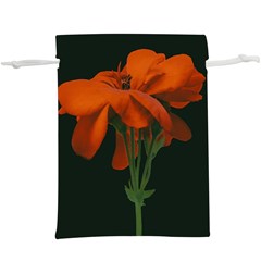 Red Geranium Over Black Background  Lightweight Drawstring Pouch (xl) by dflcprintsclothing