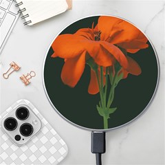 Red Geranium Over Black Background Wireless Charger by dflcprintsclothing