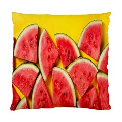 Watermelon Standard Cushion Case (one Side) by artworkshop