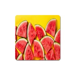 Watermelon Square Magnet by artworkshop