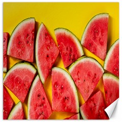 Watermelon Canvas 20  X 20  by artworkshop