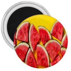 Watermelon 3  Magnets by artworkshop