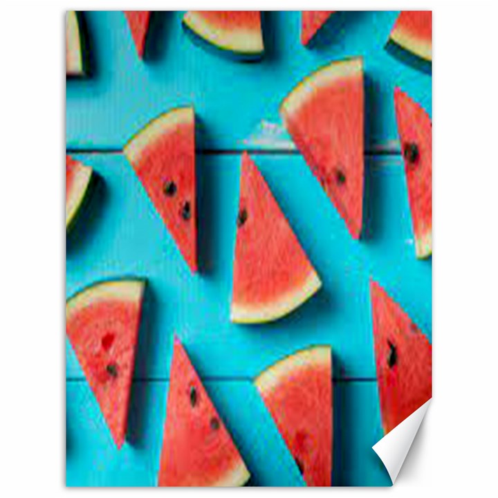 Watermelon Blue Background Canvas 12  x 16 