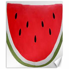 Watermelon Pillow Fluffy Canvas 20  X 24  by artworkshop