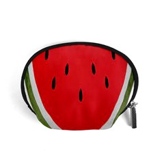 Watermelon Pillow Fluffy Accessory Pouch (small) by artworkshop