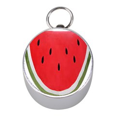 Watermelon Pillow Fluffy Mini Silver Compasses by artworkshop