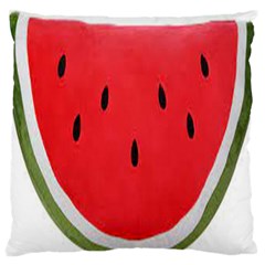 Watermelon Pillow Fluffy Large Flano Cushion Case (one Side) by artworkshop