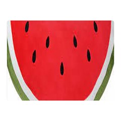 Watermelon Pillow Fluffy Double Sided Flano Blanket (mini)  by artworkshop