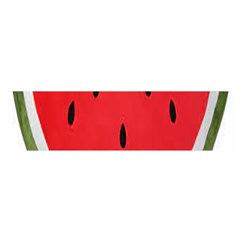 Watermelon Pillow Fluffy Oblong Satin Scarf (16  X 60 ) by artworkshop