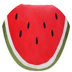 Watermelon Pillow Fluffy Wooden Puzzle Round