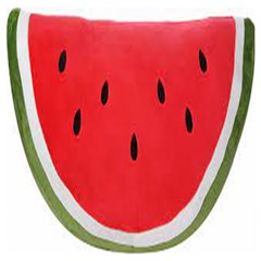 Watermelon Pillow Fluffy Wooden Puzzle Square by artworkshop