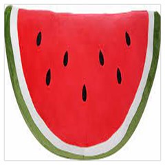 Watermelon Pillow Fluffy Lightweight Scarf  by artworkshop