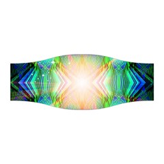 Blastamine Stretchable Headband by Thespacecampers