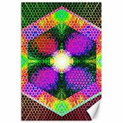 Honeycomb High Canvas 20  X 30  by Thespacecampers