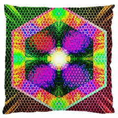 Honeycomb High Large Cushion Case (two Sides) by Thespacecampers