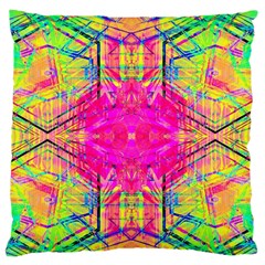 Kaleidoscopic Fun Large Flano Cushion Case (two Sides) by Thespacecampers