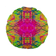 Kaleidoscopic Fun Standard 15  Premium Flano Round Cushions by Thespacecampers