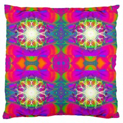 Plasma Ball Large Flano Cushion Case (two Sides) by Thespacecampers