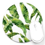 Sheets Tropical Plant Palm Summer Exotic Round Mousepads Front