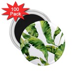 Sheets Tropical Plant Palm Summer Exotic 2.25  Magnets (100 pack)  Front