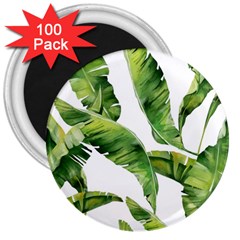 Sheets Tropical Plant Palm Summer Exotic 3  Magnets (100 Pack) by artworkshop