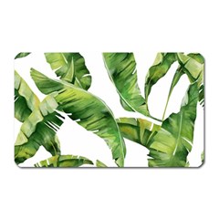 Sheets Tropical Plant Palm Summer Exotic Magnet (rectangular) by artworkshop