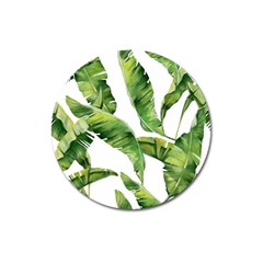 Sheets Tropical Plant Palm Summer Exotic Magnet 3  (round) by artworkshop