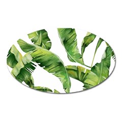 Sheets Tropical Plant Palm Summer Exotic Oval Magnet by artworkshop