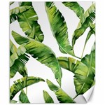 Sheets Tropical Plant Palm Summer Exotic Canvas 8  x 10  8.15 x9.66  Canvas - 1