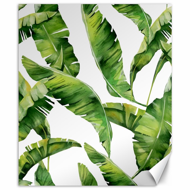 Sheets Tropical Plant Palm Summer Exotic Canvas 8  x 10 