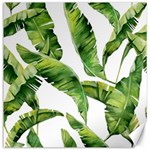 Sheets Tropical Plant Palm Summer Exotic Canvas 16  x 16  15.2 x15.41  Canvas - 1