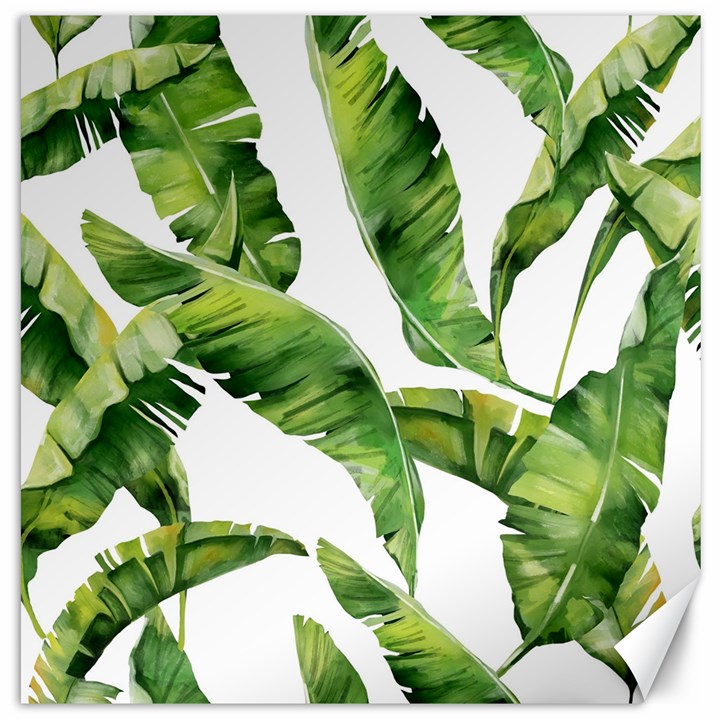 Sheets Tropical Plant Palm Summer Exotic Canvas 16  x 16 