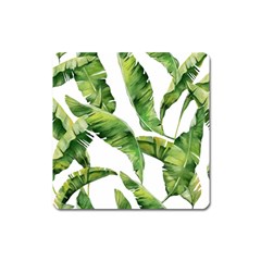 Sheets Tropical Plant Palm Summer Exotic Square Magnet by artworkshop