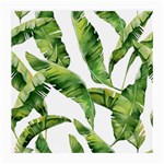 Sheets Tropical Plant Palm Summer Exotic Medium Glasses Cloth (2 Sides) Front