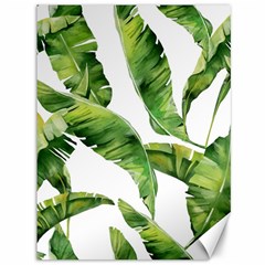 Sheets Tropical Plant Palm Summer Exotic Canvas 36  X 48  by artworkshop