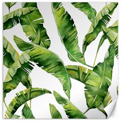 Sheets Tropical Plant Palm Summer Exotic Canvas 20  X 20  by artworkshop