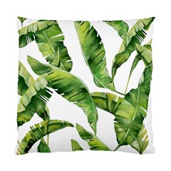 Sheets Tropical Plant Palm Summer Exotic Standard Cushion Case (one Side) by artworkshop