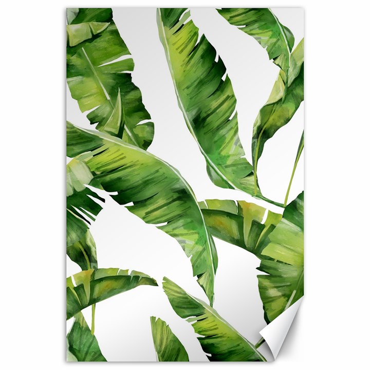 Sheets Tropical Plant Palm Summer Exotic Canvas 24  x 36 