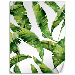 Sheets Tropical Plant Palm Summer Exotic Canvas 18  X 24  by artworkshop