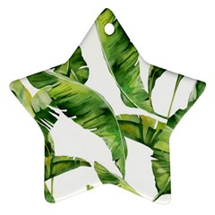 Sheets Tropical Plant Palm Summer Exotic Star Ornament (two Sides)