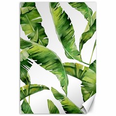 Sheets Tropical Plant Palm Summer Exotic Canvas 12  X 18  by artworkshop