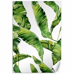 Sheets Tropical Plant Palm Summer Exotic Canvas 20  x 30  19.62 x28.9  Canvas - 1