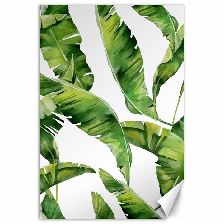 Sheets Tropical Plant Palm Summer Exotic Canvas 20  x 30 