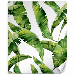 Sheets Tropical Plant Palm Summer Exotic Canvas 11  X 14  by artworkshop