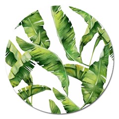 Sheets Tropical Plant Palm Summer Exotic Magnet 5  (round) by artworkshop