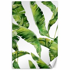 Sheets Tropical Plant Palm Summer Exotic Canvas 20  X 30  by artworkshop